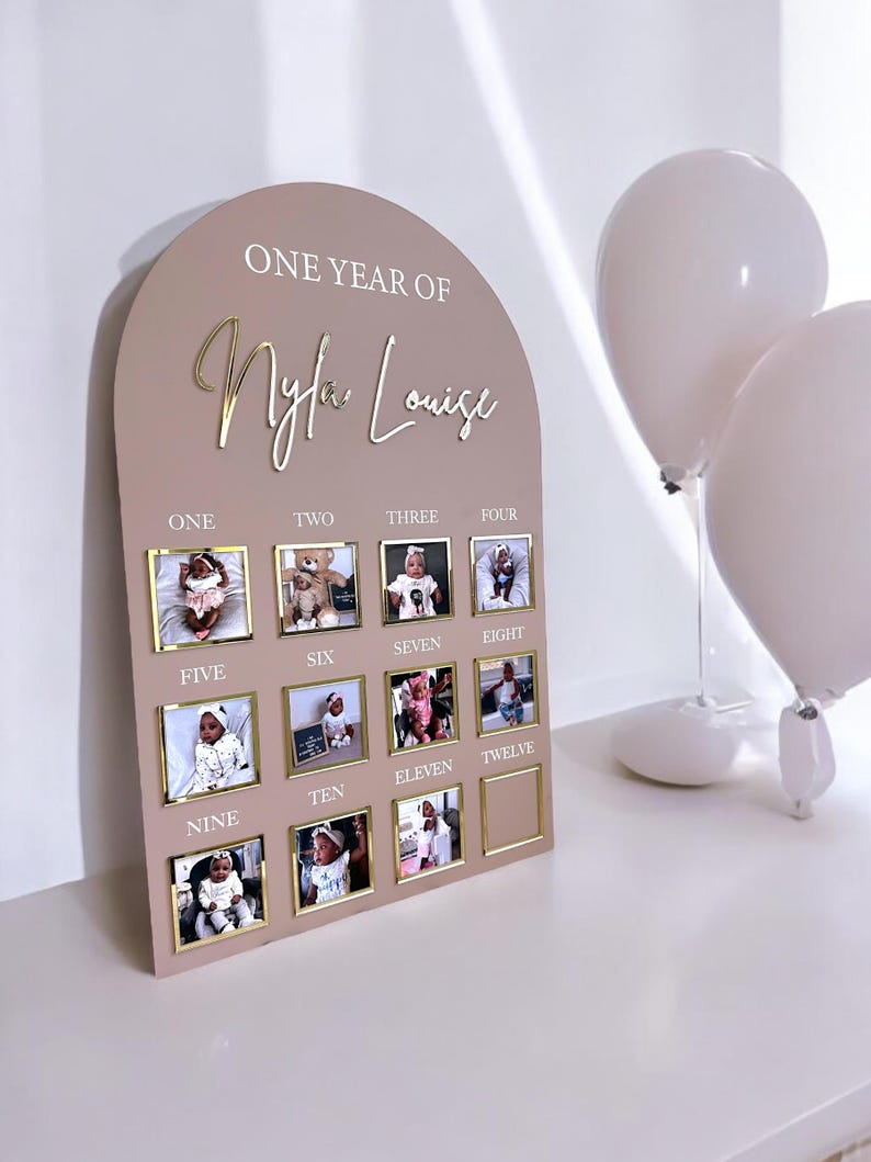 One Year of Baby Board, Acrylic Milestone Board, Milestone Board, My First Year Sign, 1st Birthday Decorations, Monthly Milestone Board