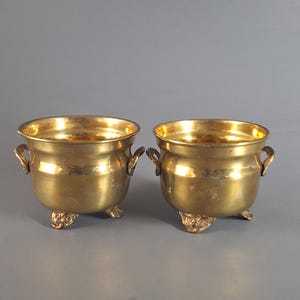 Vintage Brass Lion Paw Planters - Set of Two, Elegant Home & Office Decor, Ideal for Collectors, Garden Enthusiasts, Unique Treasure