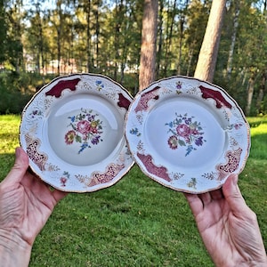 Vintage Set of 2 Porcelain Plates, Marked ZEH Scherzer Bavaria Germany, Collectible Flower Plates with 22k Gold Trim, Rare Retro Circa 1950s