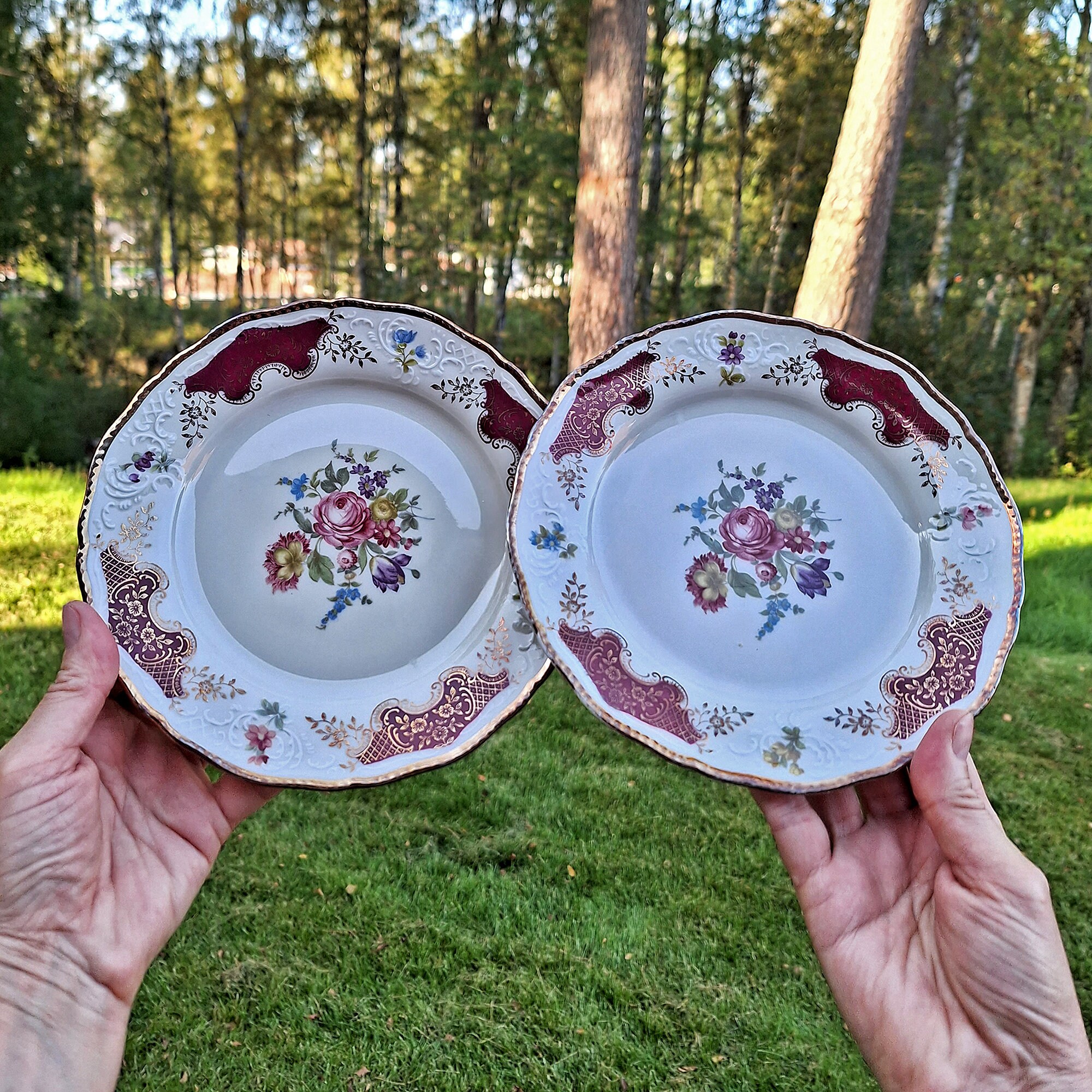 Scherzer plates - Etsy 日本