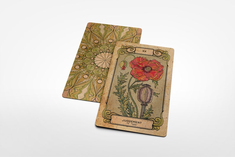 Botanica Okulta Tarot Karten Deck Tarot mit Anleitung Buch 78 Karten Deck Antike Blumen Illustration Seltene Botanische Vintage Kunst Bild 5