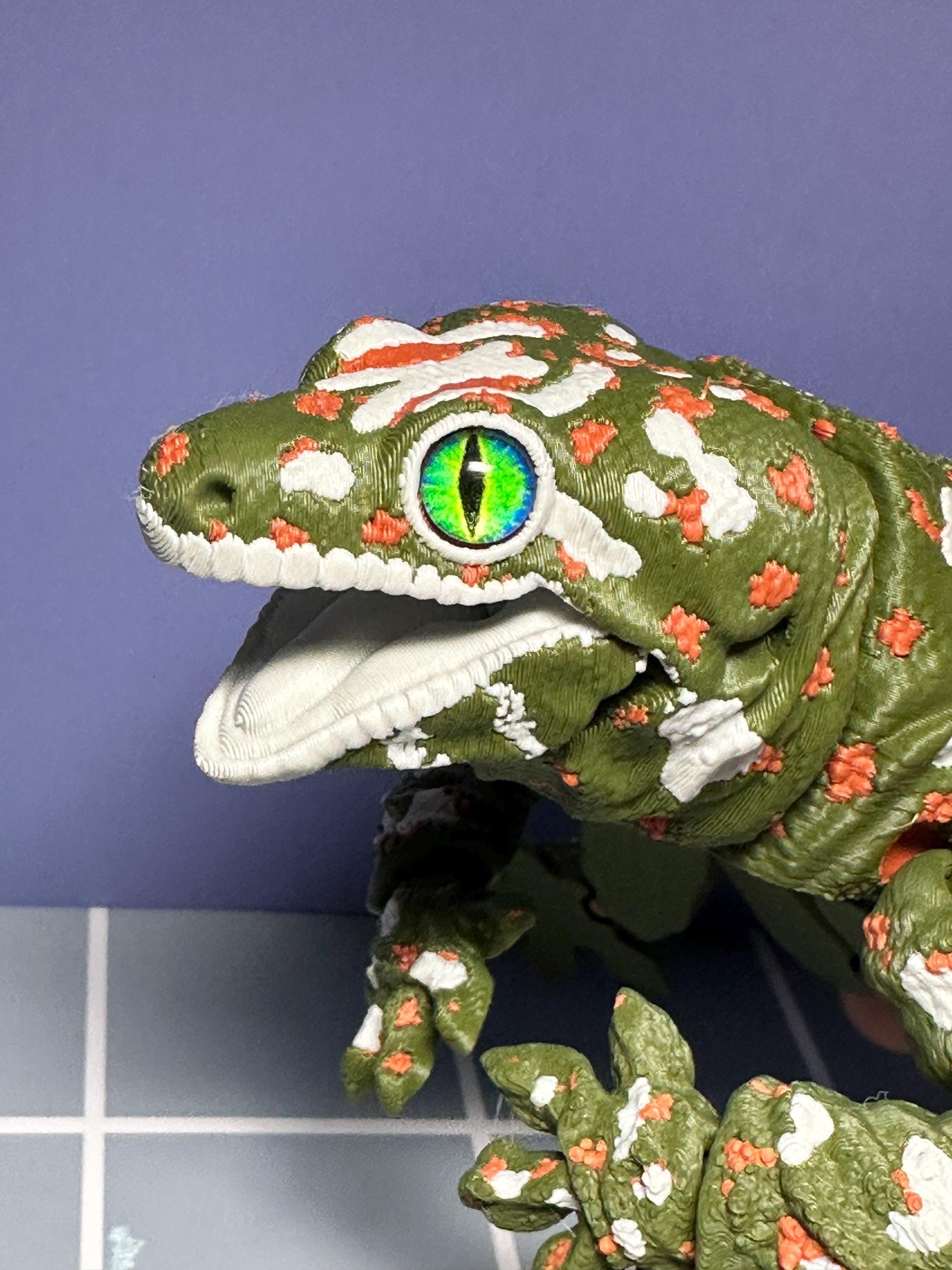 Donaiya ドナイヤ Gecko ゲッコー　セット 3D Printed Articulated New Caledonia Giant Gecko 