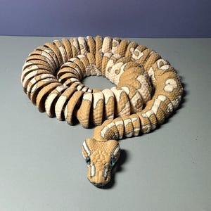 Serpiente pitón bola articulada impresa en 3D: ¡diferentes formas disponibles! Cinnamon