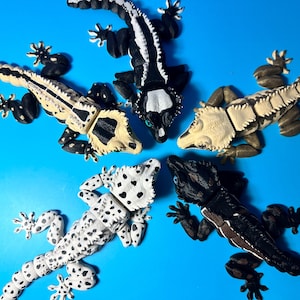 May include: Five toy geckos in various colors and patterns are arranged on a bright blue surface. The geckos feature detailed designs, including spots, stripes, and contrasting color combinations of black, white, and tan.