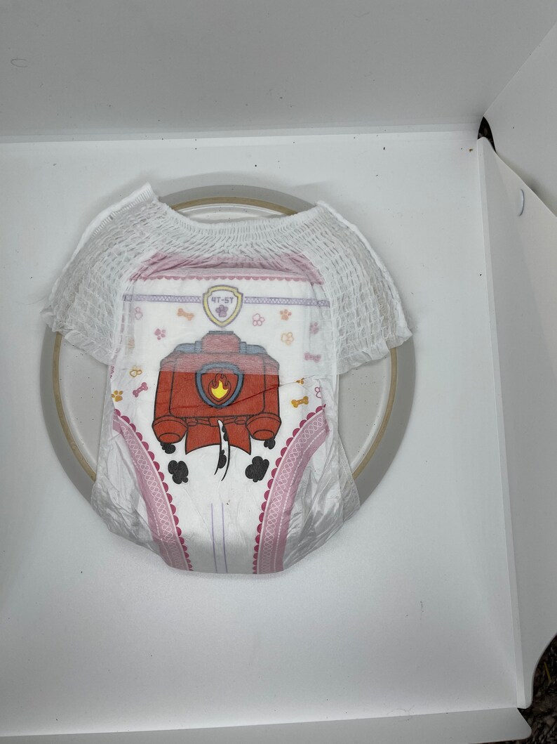 Parent's Choice Paw Patrol Training Pants 4T5T Featuring Etsy Sweden