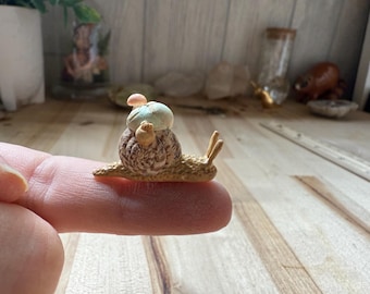 Tiny Adventure Snail with Real Shell