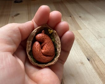 Sweet Sleepy Squirrel