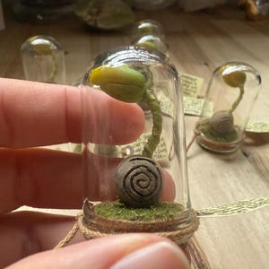 Truffula Seed Tree Sprout
