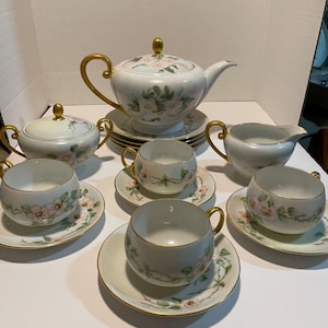 Eschenbach Bavarian porcelain tea set with dessert saucer.