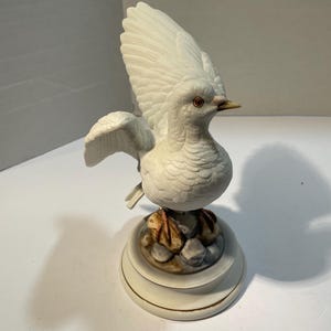 White Doves Andrea - Etsy