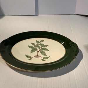 May include: An oval ceramic serving platter featuring a wide, dark forest green rim with a thin gold-toned edge. The centre is cream-coloured and decorated with a central illustration of a small green leafy plant with brown roots.