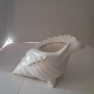 May include: A white ceramic seashell planter with a glossy finish. The planter is shaped like a conch shell, with a textured exterior and a smooth, open interior. It has three small feet for stability.
