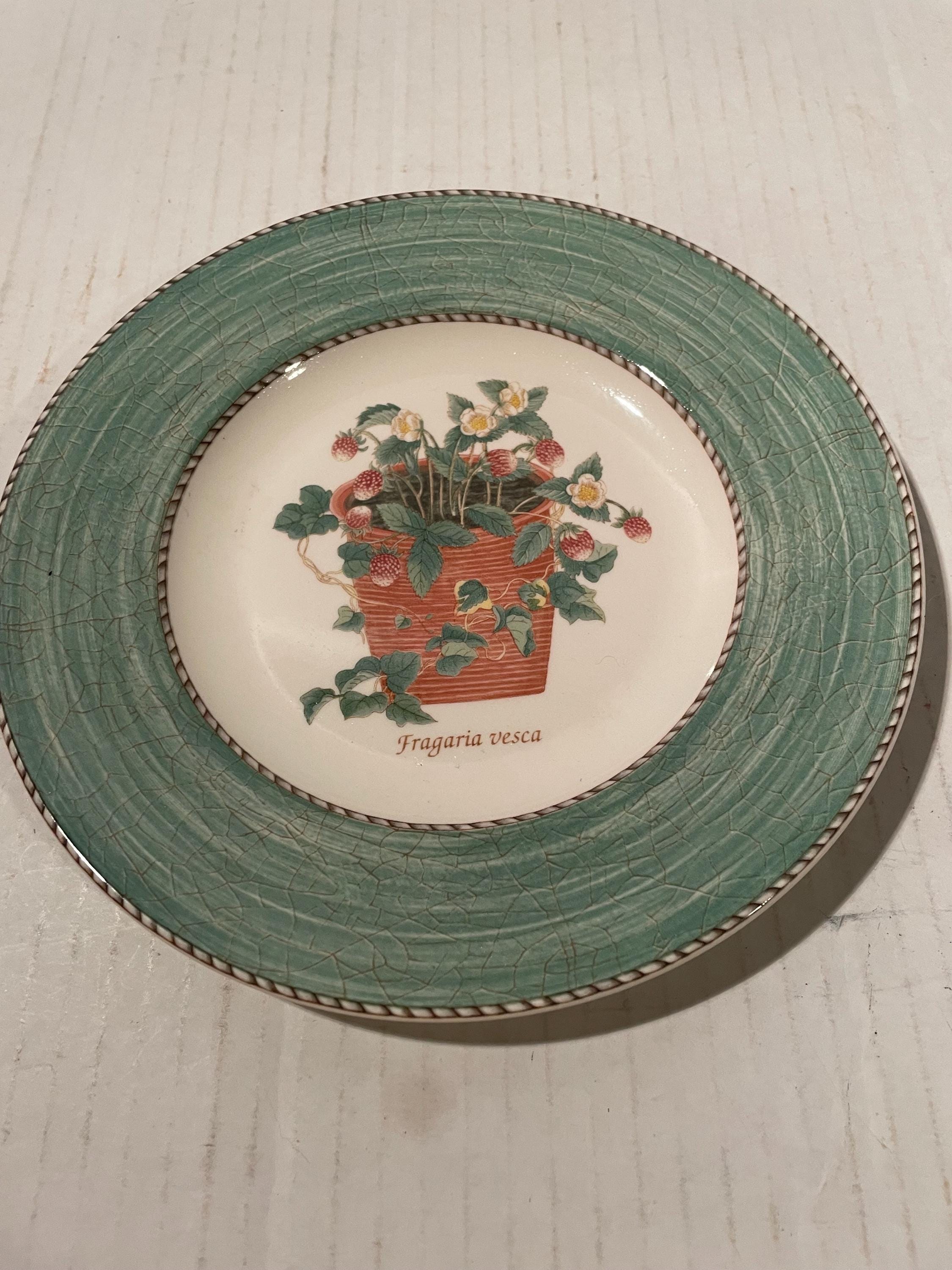 Sarahs Garden Wedgewood - Etsy