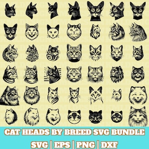 Cat Head Svg Bundle, Cat Complete Breeds SVG, CatHead Silhouette, Cat Faces Vector, Cat heads front view Cut Files For Silhouette