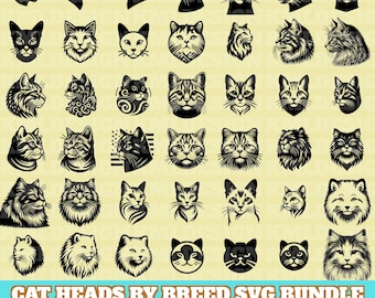 Cat Head Svg Bundle, Cat Complete Breeds SVG, CatHead Silhouette, Cat Faces Vector, Cat heads front view Cut Files For Silhouette