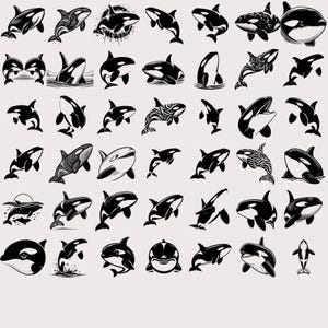 Whether you're making custom mugs, decals, or educational materials, these orca silhouettes and clipart offer both realism and artistic flair to suit any creative style.