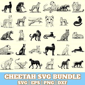 Powerful Cheetah SVG Bundle for Bold Projects
This cheetah SVG bundle features fierce and graceful cheetah illustrations, including silhouettes and detailed vectors. Ideal for T-shirts, wall art, mugs, and wild animal-themed designs.