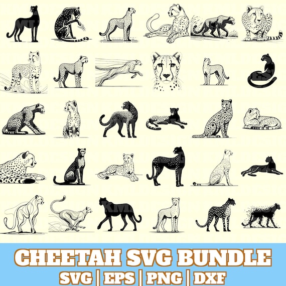 Cheetah Svg Bundle, Cheetah Vector, Cheetah Silhouette, Cheetah Svg PNG Eps Dxf, Animal Illustration Bundle,Print on Demand,Instant Download