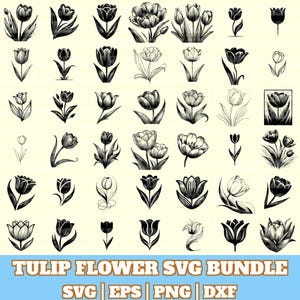 Tulip Flower Svg Bundle, Tulip Flower Vector, Tulip Flower Silhouette, Botanic Tulip Svg PNG Eps Dxf, Instant Download