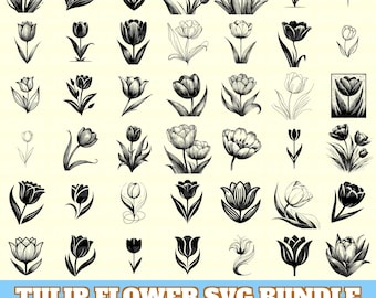 Tulip Flower Svg Bundle, Tulip Flower Vector, Tulip Flower Silhouette, Botanic Tulip Svg PNG Eps Dxf, Instant Download