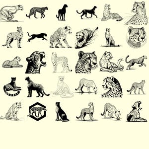 Stylized and Realistic Cheetah Vectors Included
Get a variety of styles—from bold silhouettes to elegant, line-art cheetahs. Great for both minimalistic and detailed graphic projects.