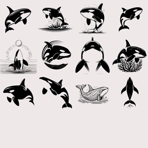 Craft stunning Orca-themed nursery wall art, stickers, or ocean-life-themed classroom decor using these clean and professionally drawn vector illustrations.