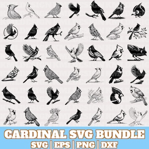 Kardinal Vogel Bundle, Kardinal Vektor, Kardinal Silhouette, Kardinal Vogel Clipart, Kardinal Ornament PNG Eps Dxf Bundle, Sofort Download