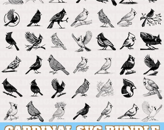 Cardinal Bird Svg Bundle, Cardinal Vector, Cardinal Silhouette, Cardinal Bird Clipart, Cardinal Ornament PNG Eps Dxf Bundle,Instant Download