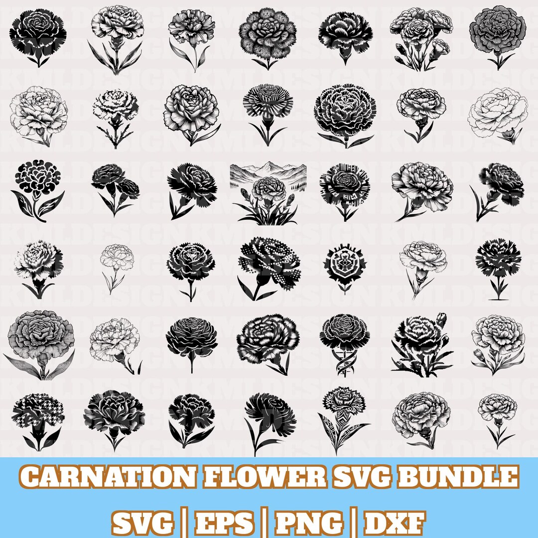Carnation Flower Svg Bundle, Carnation Flower Vector, Carnation Flower ...
