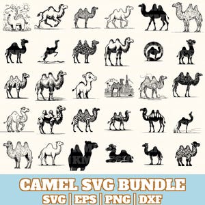 Camel Svg Bundle, Camel Vector Silhouette, Camel Svg PNG Eps Dxf, Instant Download