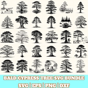 Puede incluir: Una colección de ilustraciones en blanco y negro de cipreses calvos en varios estilos. La imagen incluye dibujos detallados de árboles con diferentes formas, tamaños y entornos, con el texto "BALD CYPRESS TREE SVG BUNDLE" e indicadores de tipo de archivo.
