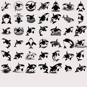From playful breaching whales to stylized minimal outlines, each design captures the spirit and grace of this intelligent sea creature. Ideal for ocean lovers and wildlife enthusiasts.