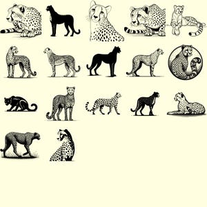 Ideal for Animal Lovers and Wildlife Decor
These digital cheetah designs bring a wild and exotic vibe to your creative work. Use them for safari themes, children’s room art, or educational visuals.