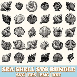 Può includere: Illustrazione in bianco e nero di varie conchiglie. L'immagine presenta diverse forme e dimensioni di conchiglie, perfette per progetti creativi. Il testo "SEA SHELL SVG BUNDLE" è visualizzato in basso.