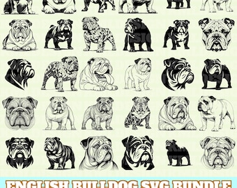 English Bulldog Svg Bundle, English Bulldog Vector, English Bulldog Silhouette, English Bulldog Svg PNG Eps Dxf, Instant Download