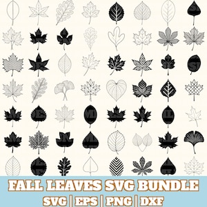 May include: A collection of various leaf designs in black and white, including maple, oak, and ginkgo leaves. The phrase "FALL LEAVES SVG BUNDLE" is displayed at the bottom, along with file type indicators.