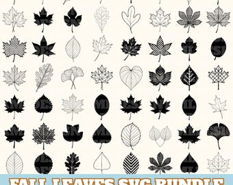 Fall Leaves Svg Bundle, Leaf Vector, Autumn Leaves Silhouette, Leaf fall leaves autumn leaves Svg PNG Eps Dxf, Instant Download