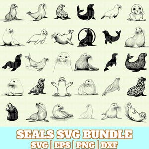 Seal Svg Bundle, Seals Vector, Seal Silhouette, Seal Svg PNG Eps Dxf, Instant Download
