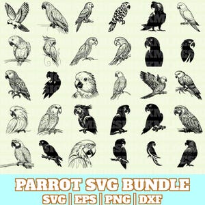 May include: A collection of parrot illustrations in various poses and styles, from detailed sketches to silhouettes. The image includes the text "PARROT SVG BUNDLE" along with file type indicators: SVG, EPS, PNG, and DXF.