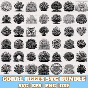 May include: A collection of black and white coral reef illustrations in various shapes and sizes. The image includes the text "CORAL REEFS SVG BUNDLE" and the file types "SVG | EPS | PNG | DXF". The illustrations depict different types of coral.