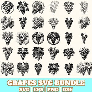 Grapes Svg Bundle, Grapes Vector, Grapes Silhouette, Grapes Svg PNG Eps Dxf, Instant Download