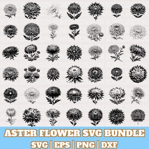 Aster flower Svg Bundle, Aster dandelion Vector, Aster flower Silhouette, Aster flower Svg PNG Eps Dxf, Floral Clipart, Digital Download