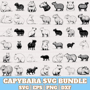 Capybara Svg Bundle, Capybara Vector, Capybara Silhouette, Cute Capybara Svg PNG Eps Dxf, Funny Capybara Clipart Cricut, Digital Download