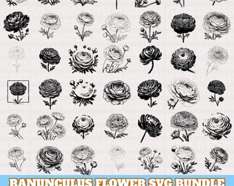 Pakiet kwiatów jaskra (SVG), wektor kwiatów jaskra, sylwetka kwiatów jaskra, botaniczny jaskier (SVG) PNG Eps Dxf, pobieranie cyfrowe