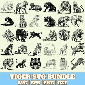 Puede incluir: Una colección de ilustraciones de tigres en blanco y negro en varias poses, incluyendo de pie, sentado y saltando. La imagen incluye el texto "TIGER SVG BUNDLE" con indicadores de tipo de archivo.