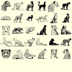 Includes SVG, PNG, EPS, and DXF Formats
Fully compatible with Cricut, Silhouette, and other cutting machines. Perfect for vinyl projects, digital printing, and custom wildlife art.