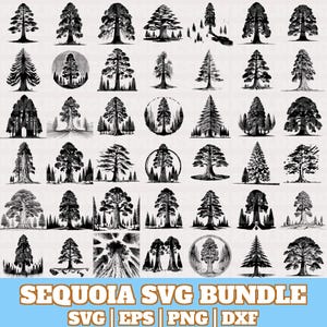 May include: A collection of black and white Sequoia tree illustrations in various styles. The image includes the text "SEQUOIA SVG BUNDLE" with file type indicators: SVG, EPS, PNG, and DXF. The trees are depicted in different shapes and sizes.