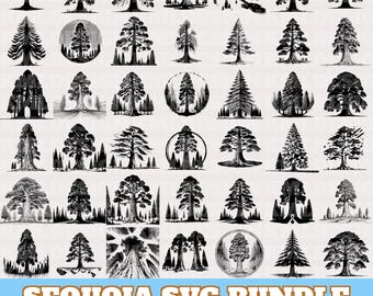 Sequoia Tree Svg Bundle, Giant Sequoia Tree Vector, Sequoia Tree Silhouette, Sequoia Clipart, Sequoia PNG Eps Dxf Bundle, Digital Download