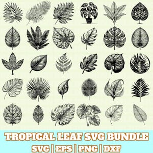 Tropical Leaf Svg Bundle, Leaf Vector, Tropical Leaf Silhouette, Tropical Leaf Svg PNG Eps Dxf, Instant Download