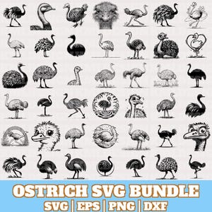 Ostrich Svg Bundle, Running Ostrich Vector, Ostrich Silhouette, Ostrich PNG Eps Dxf, Cartoon Ostrich Svg Png Clipart Cricut,Digital Download